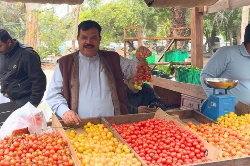 Rain adds winter charm to the Farmers Market Hasan Barakat