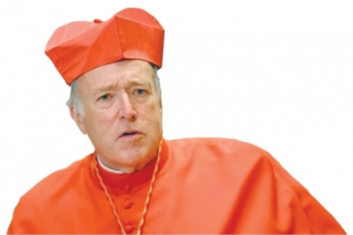 US cardinal condemns Iran war as ‘not morally legitimate’ 