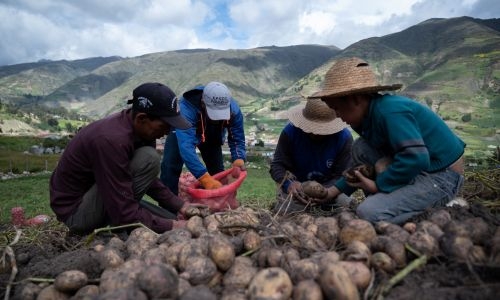 Disasters cause $3.8 trillion in crop loses over 30 years