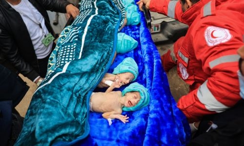 29 premature babies evacuated from Gaza arrive in Egypt