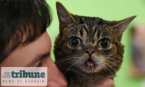 The wacky, big-money world of pet influencers The wacky, big-money world of pet influencers