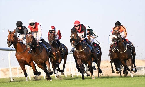 Rashid Equestrian and Horseracing Club hosts today biggest local meeting of the season Rashid Equestrian and Horseracing Club hosts today biggest local meeting of the season
