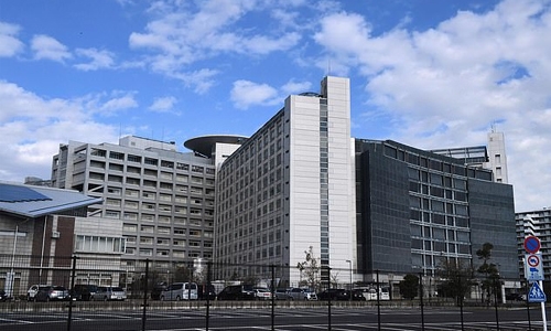 France pushes Japan to accept Renault-Nissan merger: reports France pushes Japan to accept Renault-Nissan merger: reports