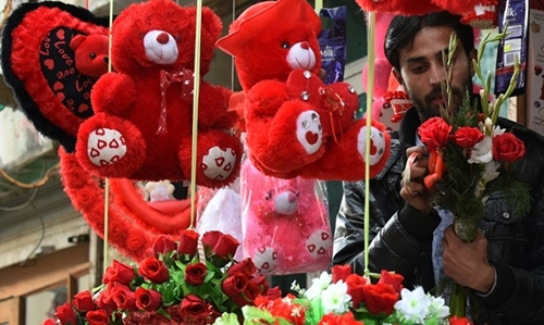 'Avoid' Valentine's Day Pakistan president tells youth