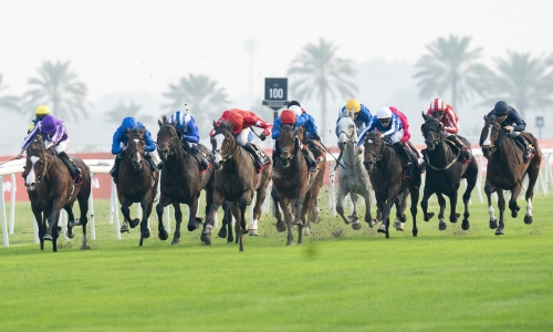 Packed card of horseraces today at REHC Packed card of horseraces today at REHC