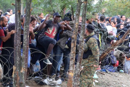 5,600 migrants crossed into Macedonia from Greece on Thursday: UN