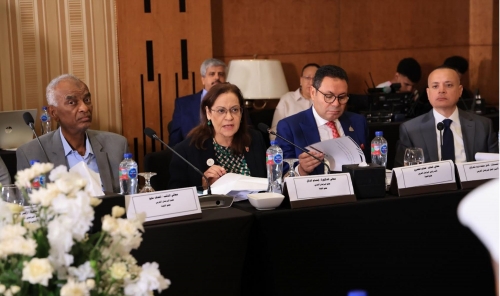 AI Boosts Bahrain’s Legislative Efficiency, Says MP