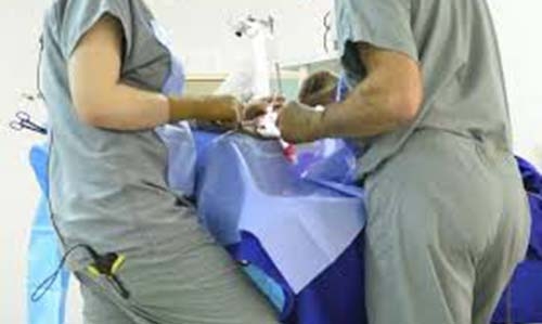 Egypt investigates girl's death during circumcision 