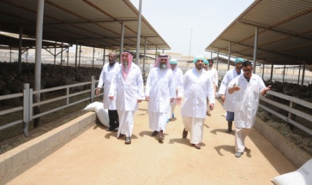 MP calls for increased supervision on meat import