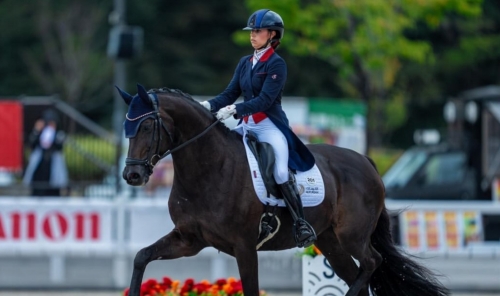 Al Mahmood Ends Dressage Campaign Al Mahmood Ends Dressage Campaign