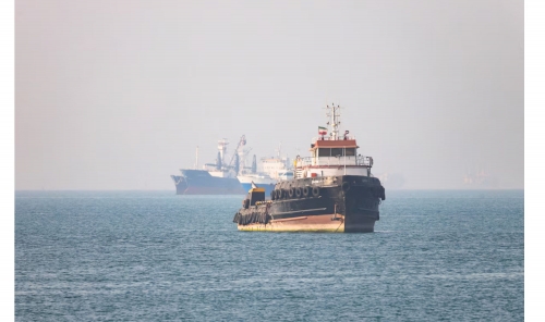 Vessel Strikes Reported in the Gulf Vessel Strikes Reported in the Gulf
