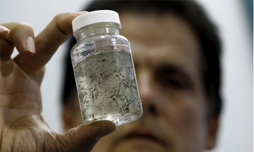 Costa Rica has first case of Zika-associated syndrome Costa Rica has first case of Zika-associated syndrome