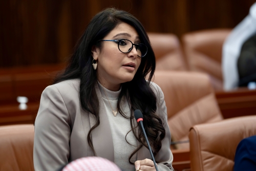 MPs back proposal to set up Bahraini children’s TV channel promoting values and stricter online rules