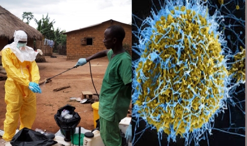 WHO declares Ebola health emergency in DRC and Uganda, rules out pandemic status