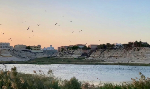 Wadi Al-Buhair remains open to public Wadi Al-Buhair remains open to public
