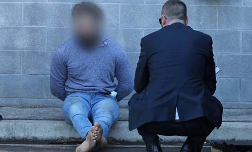 Teen arrested over alleged Sydney terror plot