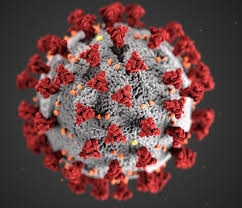 Iran records 133 new coronavirus deaths