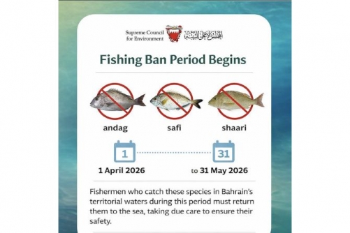 Fish Ban Begins as Families Rush to Save a Taste