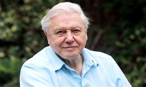 Naturalist David Attenborough says Sun can save Earth