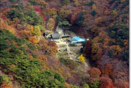 Buddhist Temple Hosts Dating Retreat to Tackle South Korea's Birth Crisis Buddhist Temple Hosts Dating Retreat to Tackle South Korea's Birth Crisis