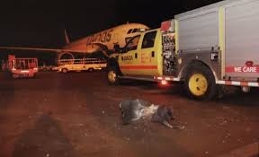 Saudi airport attacked