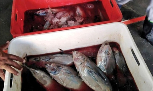 150kg spoiled fish seized at Manama Central Market 