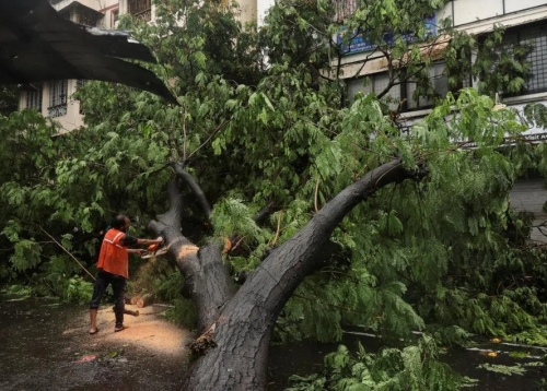 Six Killed as Building Collapses Amid Torrential Monsoon Rains in Mumbai Six Killed as Building Collapses Amid Torrential Monsoon Rains in Mumbai