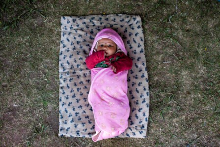 Nepal's top court orders suspension of surrogacy services Nepal's top court orders suspension of surrogacy services