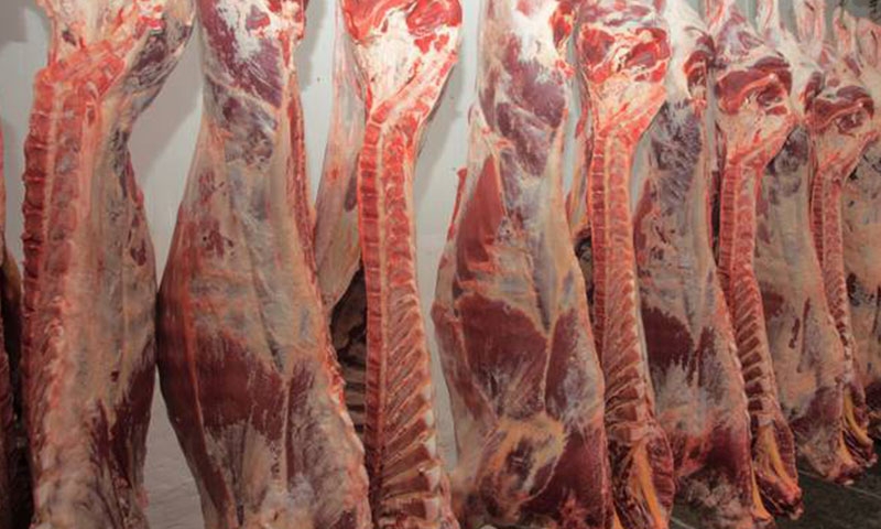 4,450kg of rotten meat seized, destroyed