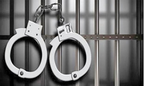 Bahraini tries to frame his aunt in drug peddling case Bahraini tries to frame his aunt in drug peddling case