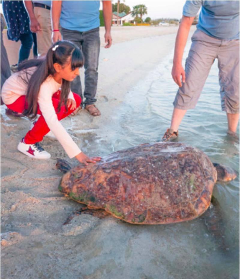 Sheema bint Nasser returns endangered turtle to sea