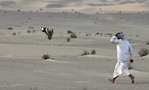 Qatari royal freed by Iraq kidnappers Qatari royal freed by Iraq kidnappers