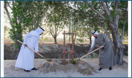 Bahrain Launches Second Phase of Ghaf Tree Planting Drive
