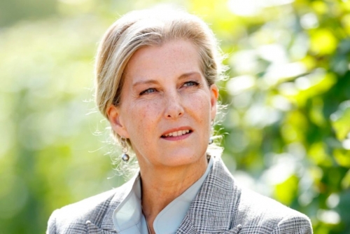 ‘It was mind-blowing’: Jamie Lee Curtis cherished getting to sit in the front row at the Oscars ‘It was mind-blowing’: Jamie Lee Curtis cherished getting to sit in the front row at the Oscars