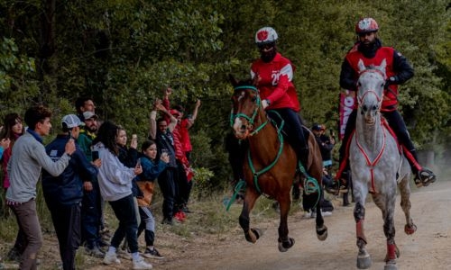Royal Endurance Team riders triumph!