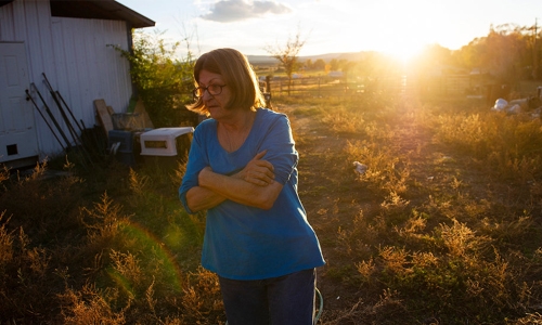 Can Colorado save America? Can Colorado save America?