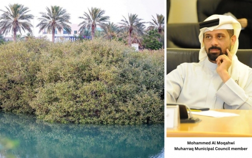 Mangrove Belt Proposed Behind Bahrain Airport Mangrove Belt Proposed Behind Bahrain Airport