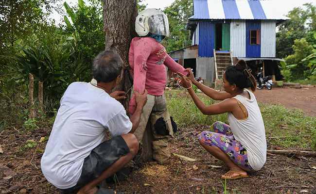Cambodian Farmers Deploy Scarecrows To Ward Off Virus
