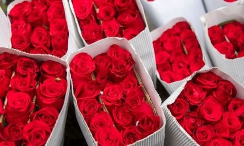 Bahrain florists experience huge demand as romantics splurge on Valentine’s Day 