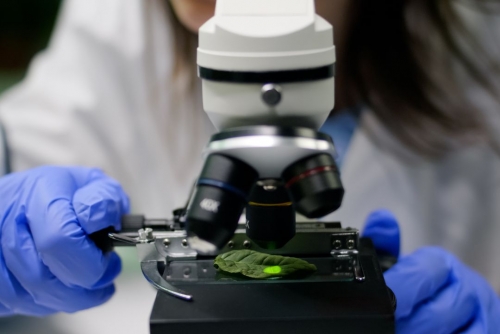 Bahraini Government Calls for Review of Bill Aiming to Boost Scientific Research and Incentivise Government Employees