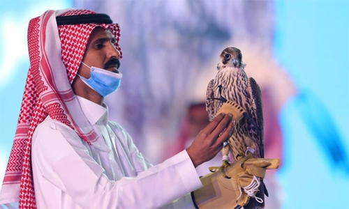 Most expensive falcon sold in International Falcon Breeders Auction Most expensive falcon sold in International Falcon Breeders Auction