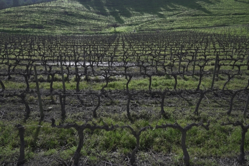 Top science publisher withdraws flawed climate study