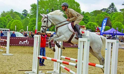 Bahrain Equestrian team win  first place