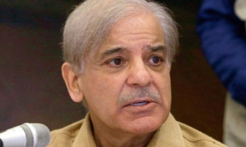 Pakistan PM Sharif appointed Vice Chairman of UN COP-27 conference Pakistan PM Sharif appointed Vice Chairman of UN COP-27 conference