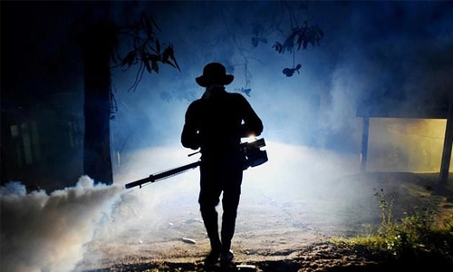 Sri Lanka blames garbage pile-up for record dengue toll Sri Lanka blames garbage pile-up for record dengue toll