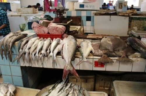 Fish Prices Dive in Bahrain by 6.6%! Fish Prices Dive in Bahrain by 6.6%!