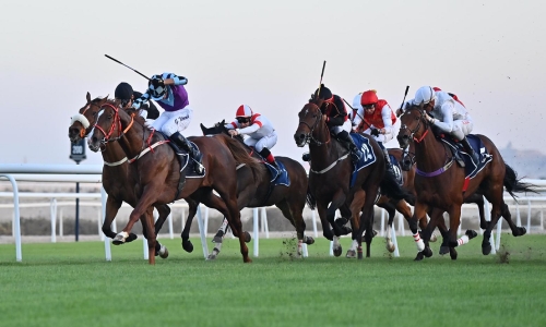 Bahrain Turf Series resumes at Sakhir horseracing track Bahrain Turf Series resumes at Sakhir horseracing track