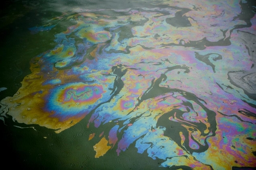Massive Oil Spill Hits Germany's Brandenburg State Massive Oil Spill Hits Germany's Brandenburg State
