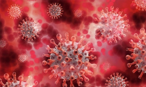 Origins of COVID-19 may never be known: US spy agencies Origins of COVID-19 may never be known: US spy agencies