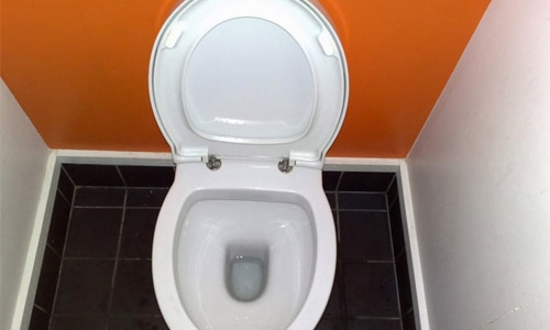 Why You Should Think Twice Before Lining Toilet Seats With Paper